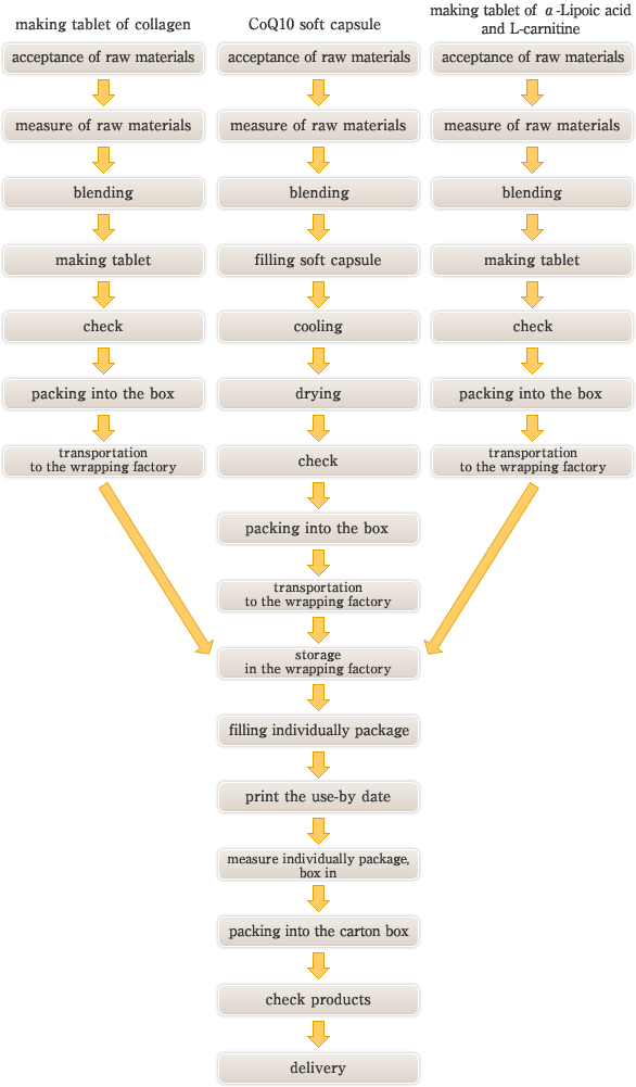 FLOW-CHART ON MANUFACTURING PROCESS